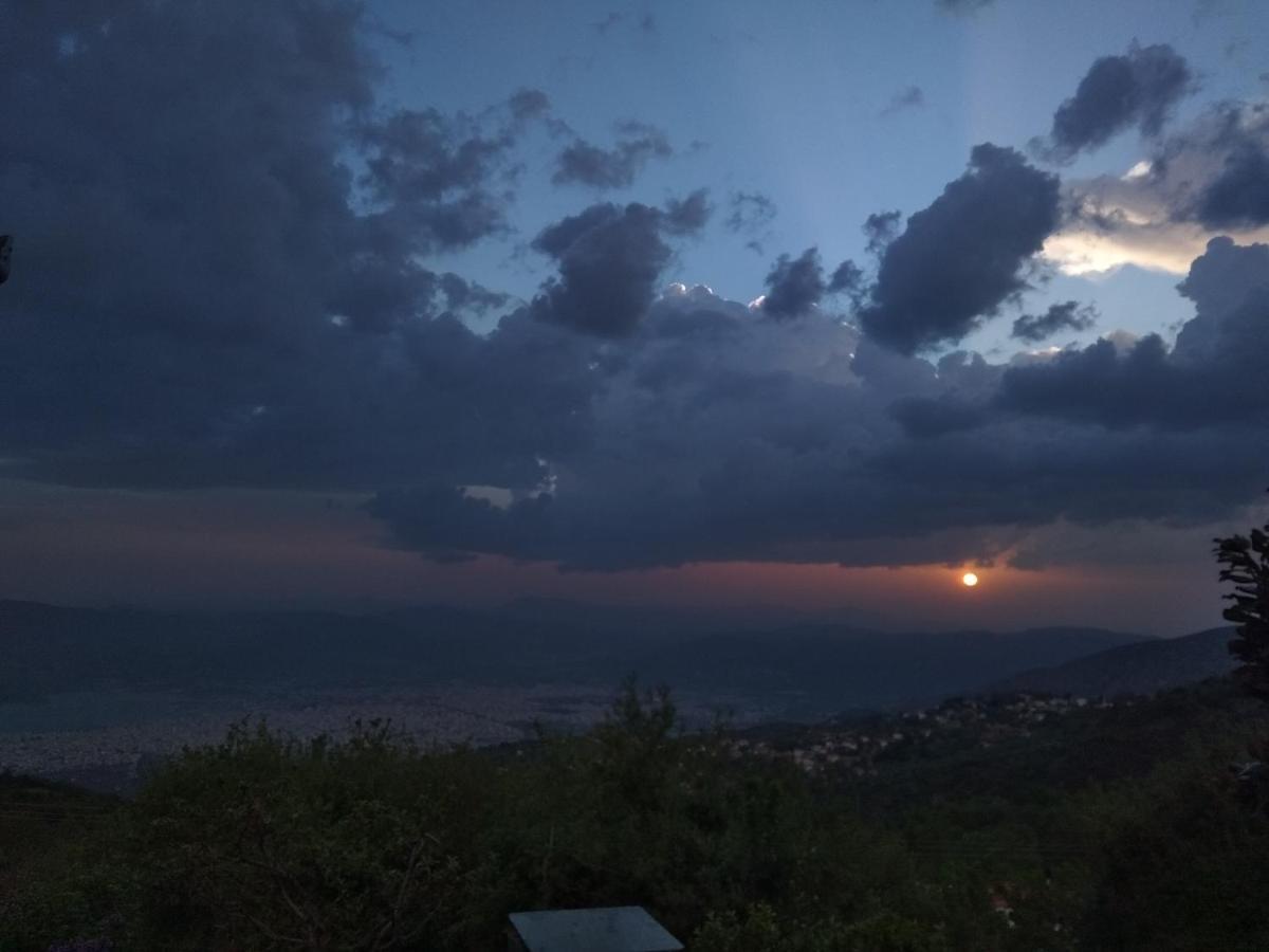 Ξενοδοχείο Κάραβος Πορταριά Εξωτερικό φωτογραφία